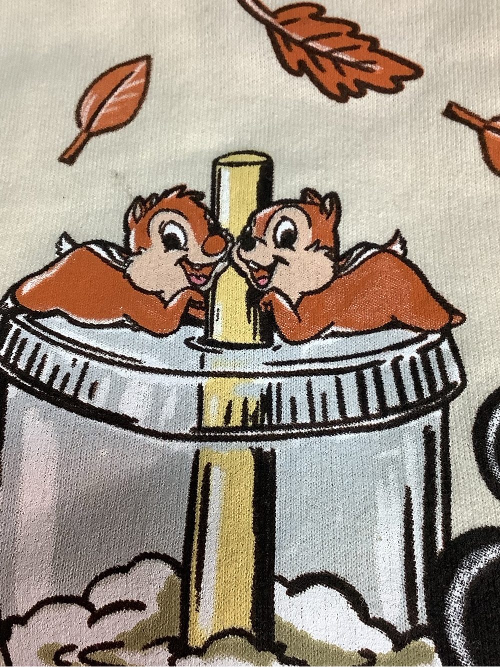 Disneyland Resort ~ Halloween ~ Pumpkin Spice & Everything Nice ~ Sweatshirt M-L - Picture 12 of 16